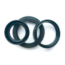 Dustproof NBR FKM Tc Sc Skeleton Oil Seal